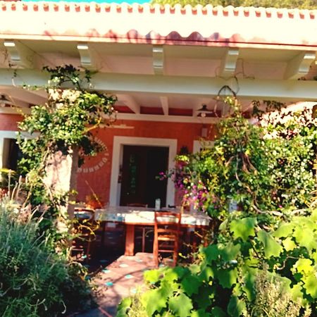 La Fattoria Delle Tartarughe Villa San Gregorio  ภายนอก รูปภาพ