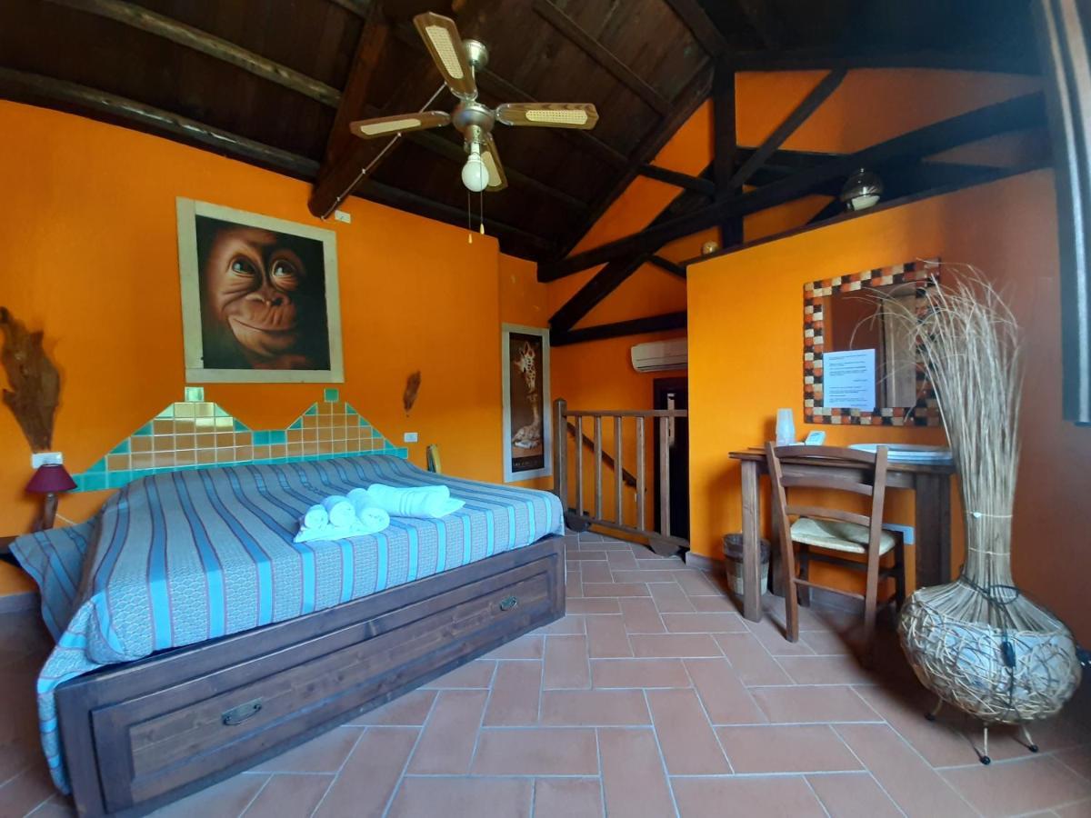 La Fattoria Delle Tartarughe Villa San Gregorio  ภายนอก รูปภาพ