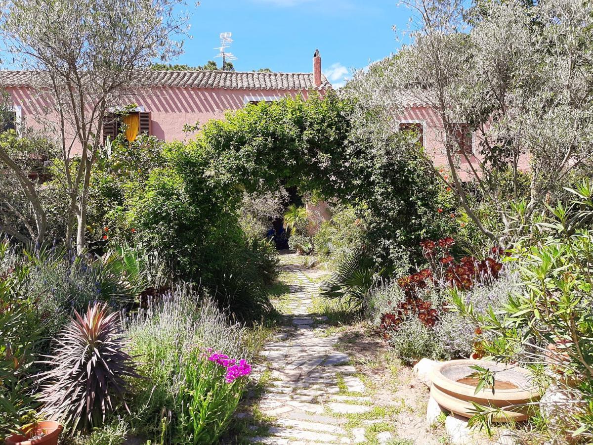 La Fattoria Delle Tartarughe Villa San Gregorio  ภายนอก รูปภาพ