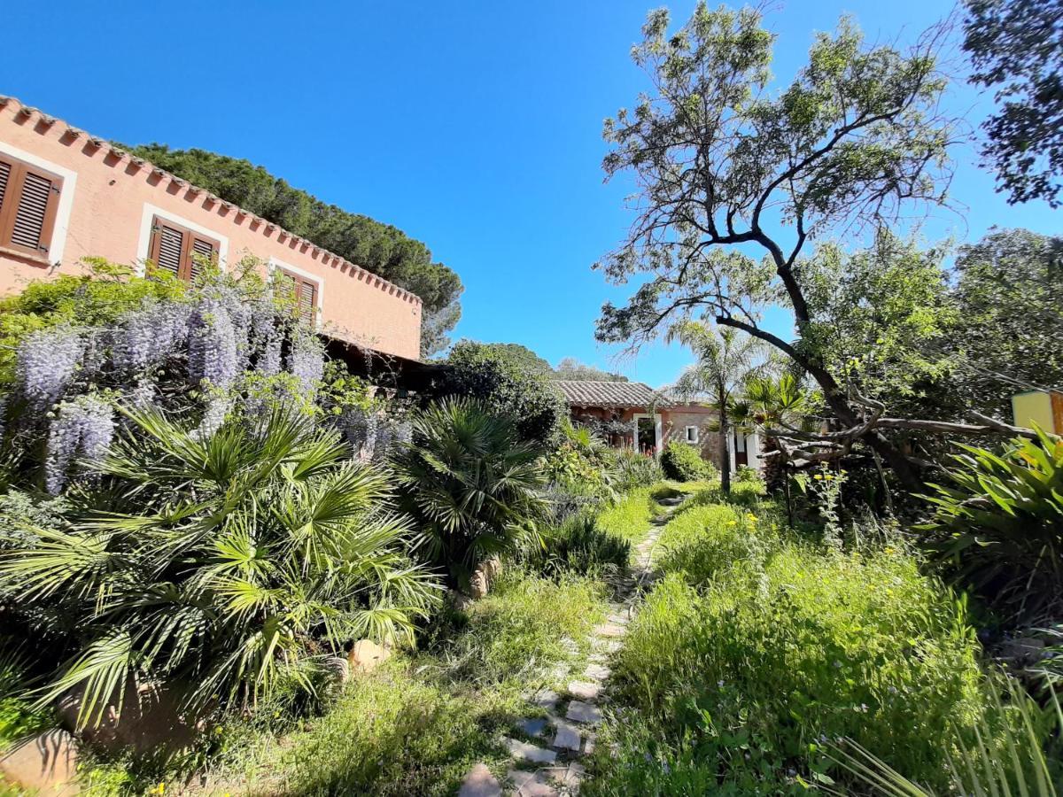 La Fattoria Delle Tartarughe Villa San Gregorio  ภายนอก รูปภาพ