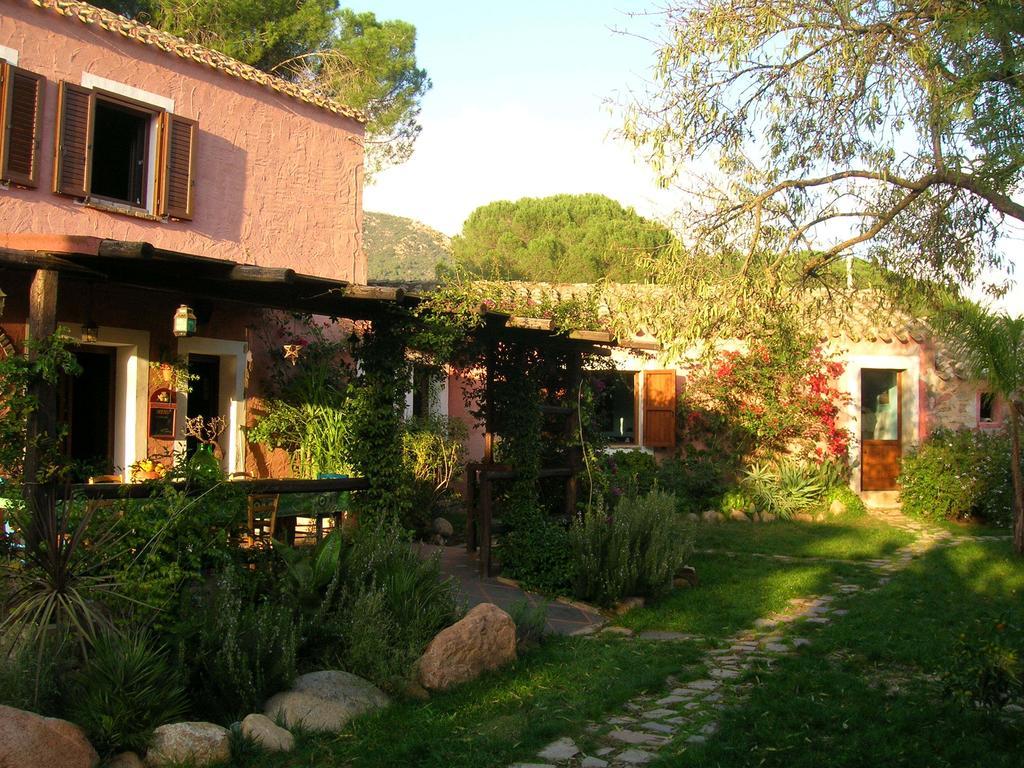 La Fattoria Delle Tartarughe Villa San Gregorio  ภายนอก รูปภาพ