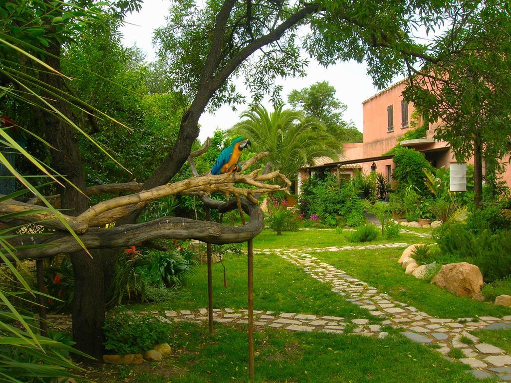 La Fattoria Delle Tartarughe Villa San Gregorio  ภายนอก รูปภาพ