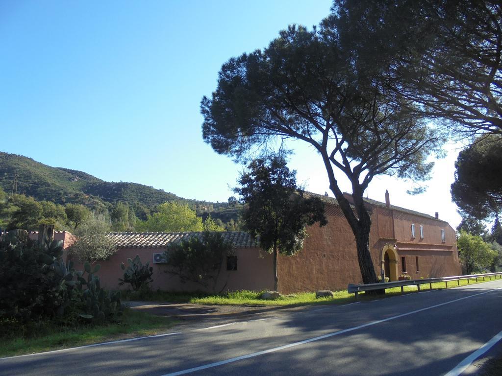 La Fattoria Delle Tartarughe Villa San Gregorio  ภายนอก รูปภาพ