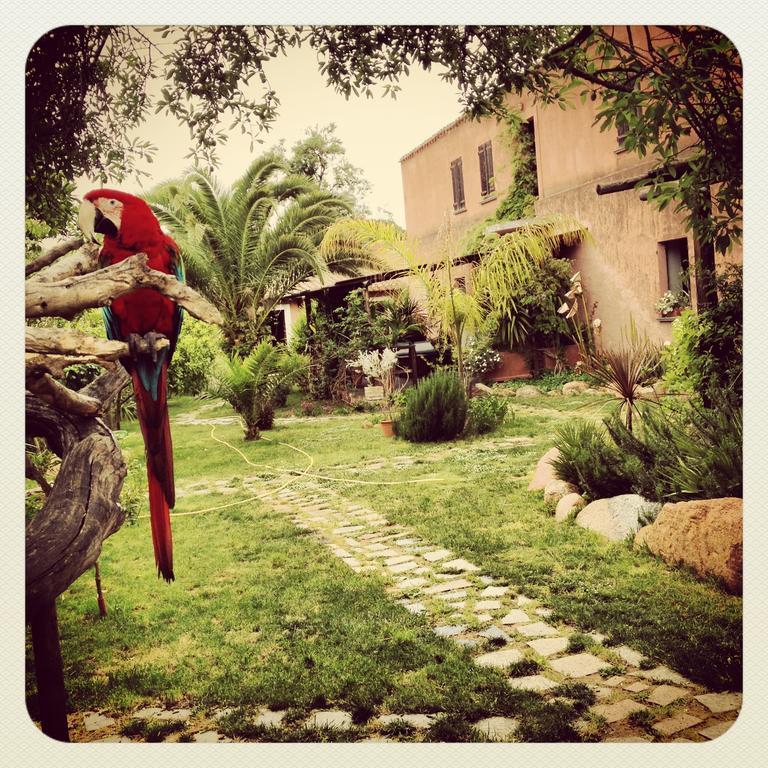 La Fattoria Delle Tartarughe Villa San Gregorio  ภายนอก รูปภาพ