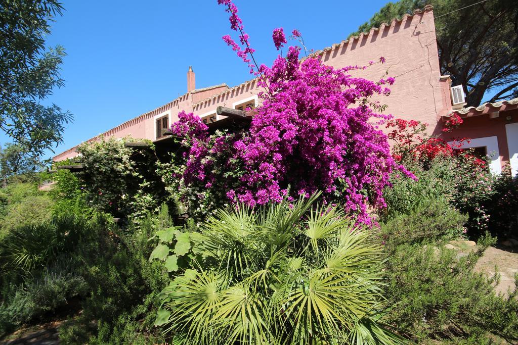 La Fattoria Delle Tartarughe Villa San Gregorio  ภายนอก รูปภาพ