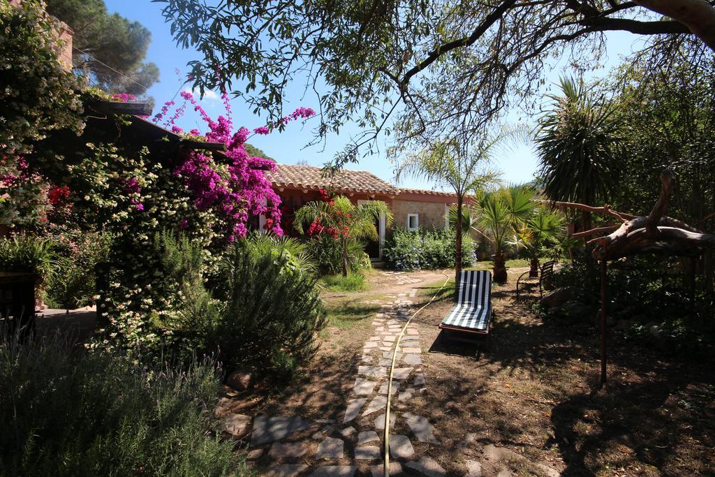 La Fattoria Delle Tartarughe Villa San Gregorio  ภายนอก รูปภาพ